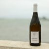 Chardonnay 2-les-viviers-de-la-foret