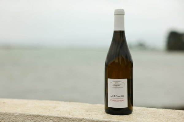 Chardonnay 2-les-viviers-de-la-foret