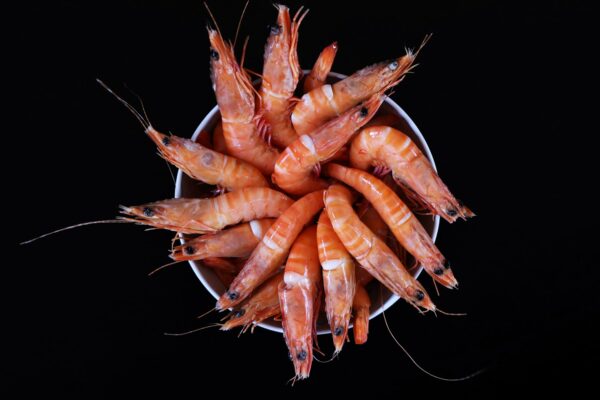 Crevettes de Madagascar bol-les-viviers-de-la-foret