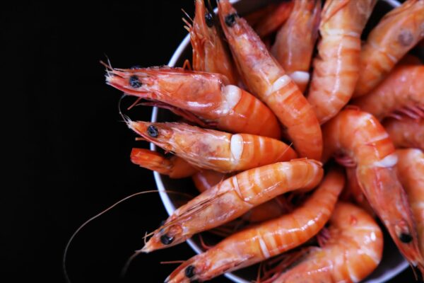 Détail crevettes de Madagascar-les-viviers-de-la-foret