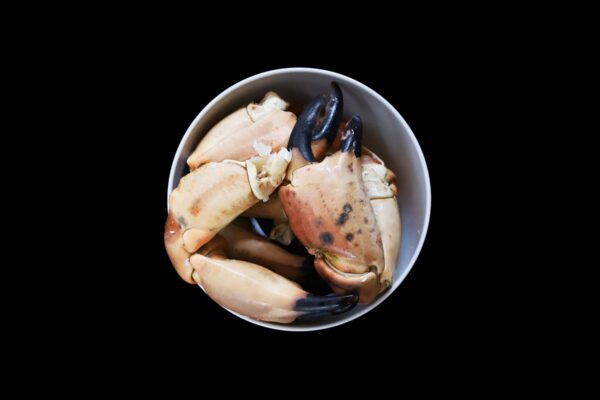 Pinces de crabe bol-les-viviers-de-la-foret