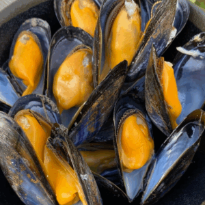 Moules Morisseau